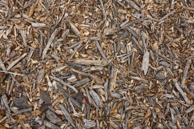 Sonbahar sonbahar doğa arka plan. Soyut dokulu zemin