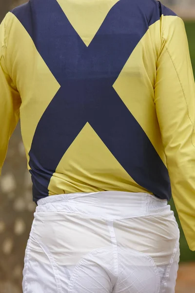 レースの前に詳細を騎手します。ヒッポド ロームの背景。競走馬. — ストック写真