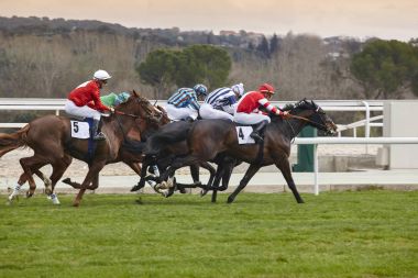 At yarışı son acele. Rekabet spor. Hipodrom. Kazanan. SP