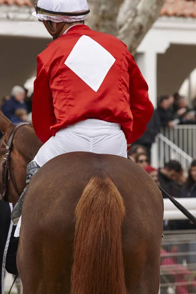 Cavalo de corrida com jóquei pronto para correr. Área do cais . — Fotografia de Stock