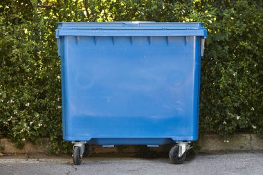 Kağıt ile yeşil bush arka plan için mavi geri dönüşüm kapsayıcı