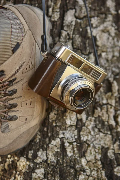 Cámara vintage con botas de senderismo y tronco de árbol. Viajes —  Fotos de Stock