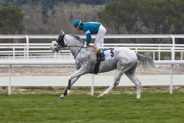 At yarışı eğitim. Rekabet spor. Hipodrom. Hız backgr