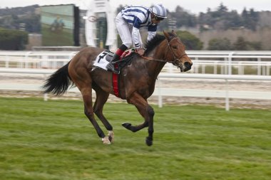 At yarışı son acele. Rekabet spor. Hipodrom. Kazanan. Olmak