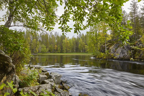 Финляндский лесной ландшафт на тропе Пиени Кархункеррос. Autumn se — стоковое фото