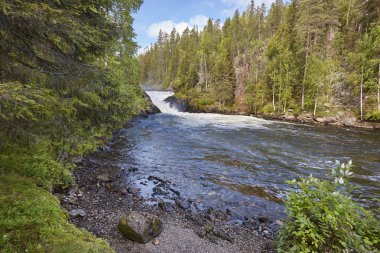 Pieni Karhunkierros iz, Finlandiya orman ve nehir manzara.