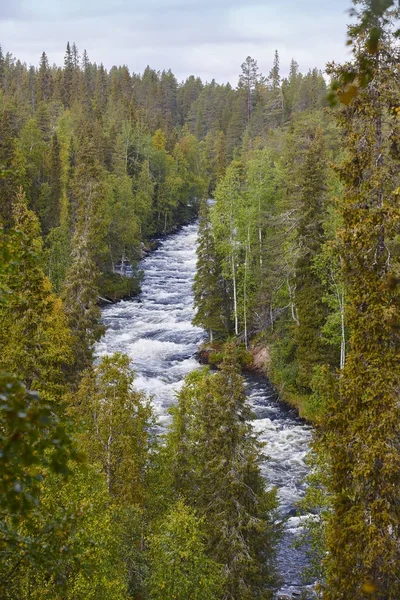 Finlandia paisaje forestal en el sendero Pieni Karhunkierros. Otoño — Foto de Stock