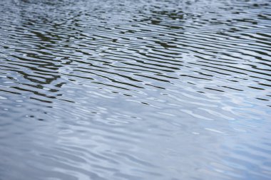 Su yansıma bir göl kenarında. Dalga hareketi. Doğa arka plan