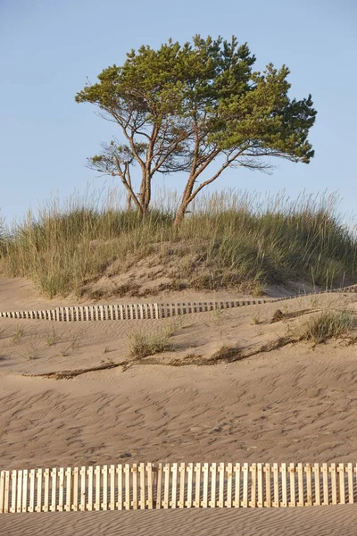 Sanddünenstrand in Finnland. Yyteri-Gebiet. Finnische Sommerferien — Stockfoto