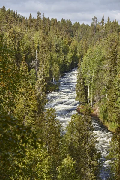 Finlandia paisaje forestal en el sendero Pieni Karhunkierros. Otoño — Foto de Stock