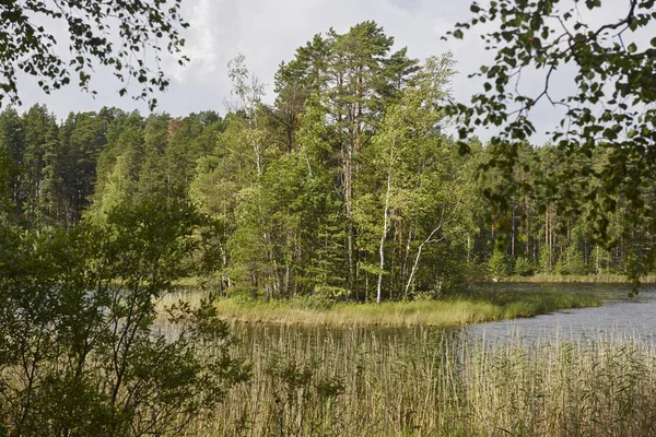 Финский пейзаж с лесом и озером. Дикая природа Финляндии — стоковое фото