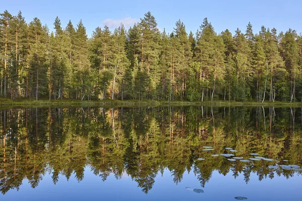 Финляндия пейзаж с озером и лесом на закате — стоковое фото