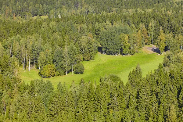 Golf Sahası orman tarafından çevrili. Havadan görüntüleme — Stok fotoğraf