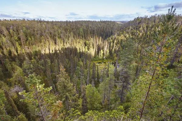 Finlandiya orman ve Pieni Karhunkierros iz gölde. Sonbahar — Stok fotoğraf