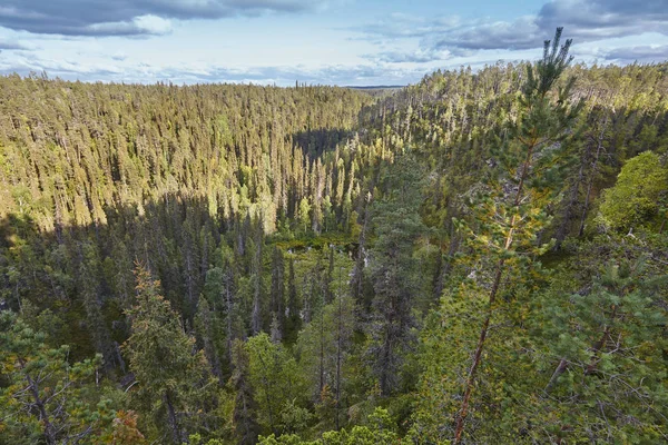 Finlandiya orman ve Pieni Karhunkierros iz gölde. Sonbahar — Stok fotoğraf