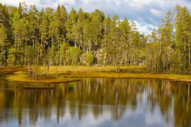 Finlandiya orman ve Pieni Karhunkierros iz gölde. Sonbahar