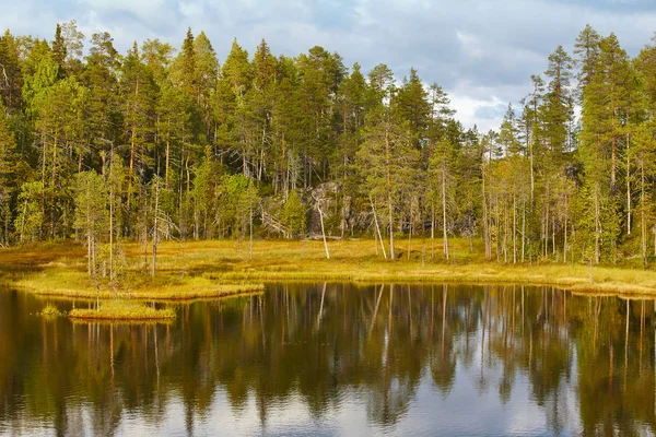 Finlandiya orman ve Pieni Karhunkierros iz gölde. Sonbahar — Stok fotoğraf