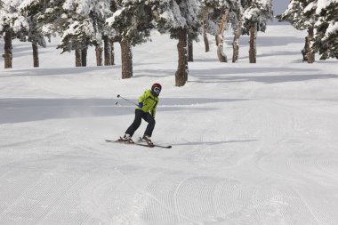 Bir güzel kar orman manzara üzerinde kayak. Kış spor