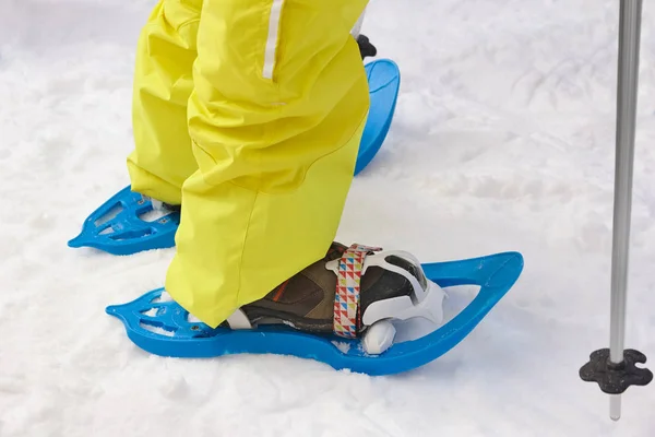 Snow rackets and boots equipment. Snow. Winter sports — Stock Photo, Image