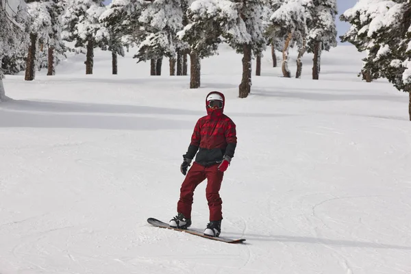 Snowboarding na lesní sjezdovka. Bílá zimní horská krajina — Stock fotografie