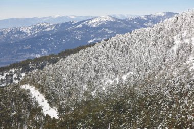 Kış dağ orman karlı manzarası. Navacerrada, İspanya