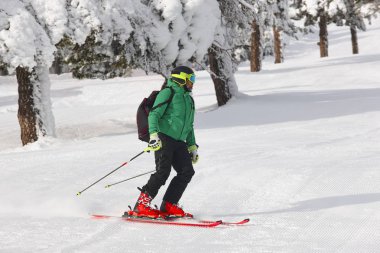 Bir güzel kar orman manzara üzerinde kayak. Kış spor