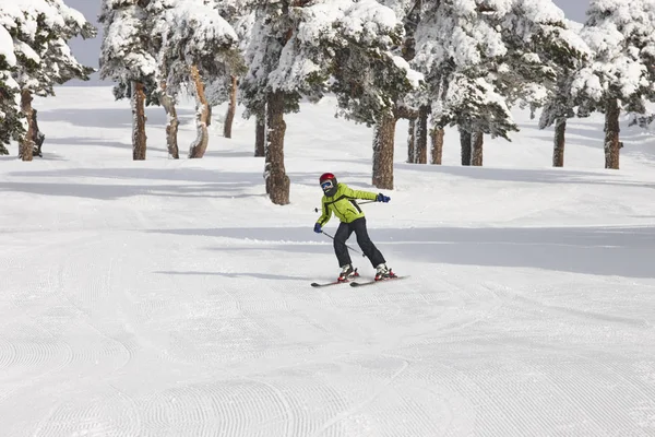 Esqui em uma bela paisagem de floresta de neve. Desporto de Inverno — Fotografia de Stock