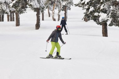 Bir güzel kar orman manzara üzerinde kayak. Kış spor