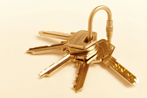 Key ring with keys on golden tone. Rent, buy — Stock Photo, Image