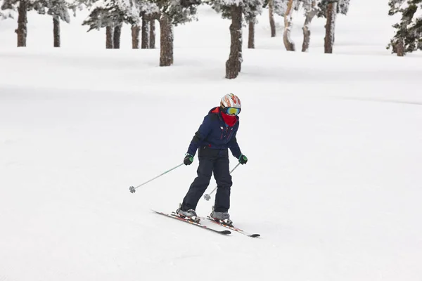 As crianças começam a aprender a esquiar. Desporto de Inverno — Fotografia de Stock