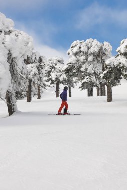 Bir orman yamaçta Kayak. Beyaz dağ manzarası. Kış