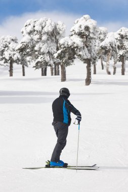 Kayakçı karlı orman yamacında. Beyaz dağ manzarası. Kış