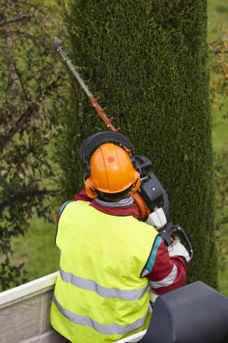 Donanımlı işçisi budama ağaca bir vinç. Bahçe