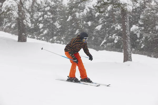 Skidåkare under snön. Vintersport. Skidbacken — Stockfoto