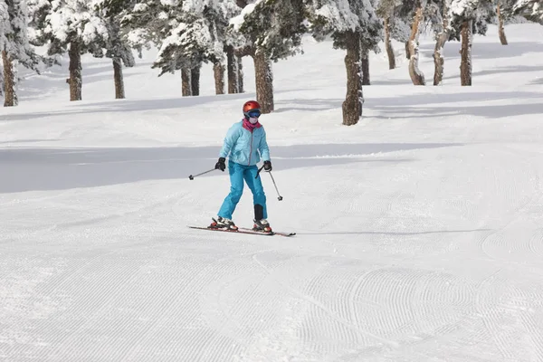 Esqui em uma bela paisagem de floresta de neve. Desporto de Inverno — Fotografia de Stock