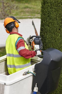 Donanımlı işçisi budama ağaca bir vinç. Bahçe