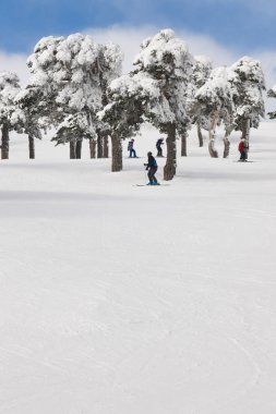 Bir orman yamaçta Kayak insanlar. Beyaz dağ manzarası. Kış spor