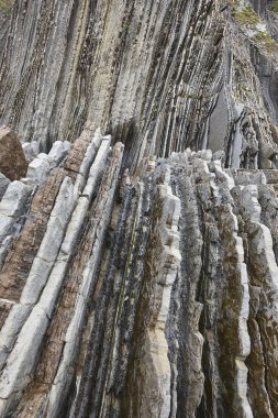 Zumaia, Avrupa Birliği'nde Flysch dramatik kaya oluşumu Cantabrik kıyı şeridi
