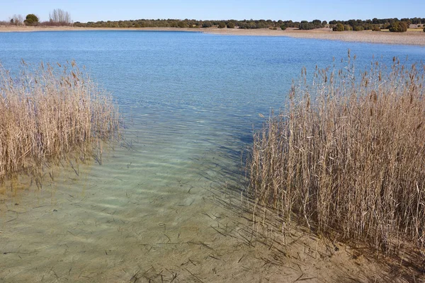 Wetlands in Spanje. Lagunas del Ruidera. Albacete Ciudad Real — Stockfoto