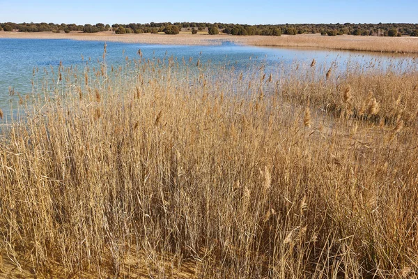 Feuchtgebiete in Spanien. lagunas del ruidera. albacete ciudad real — Stockfoto