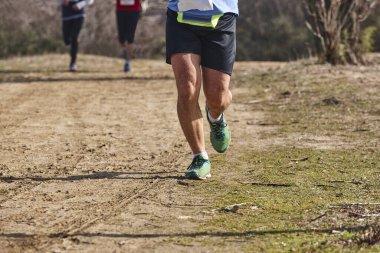 Bir yarışta kros koşucuları. Aktif sağlıklı açık hava yaşam tarzı