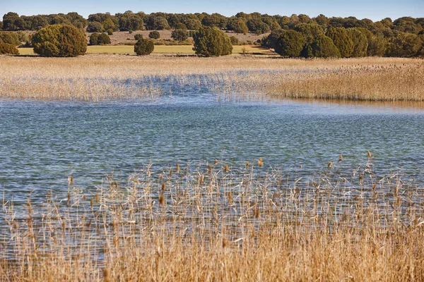 Wetlands Spanje Lagunas Del Ruidera Albacete Ciudad Real Landschap — Stockfoto