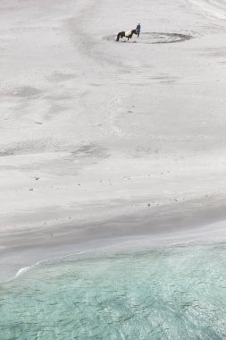 Kumsalda at eğitmek. Binicilik sporu. Faroe Adaları