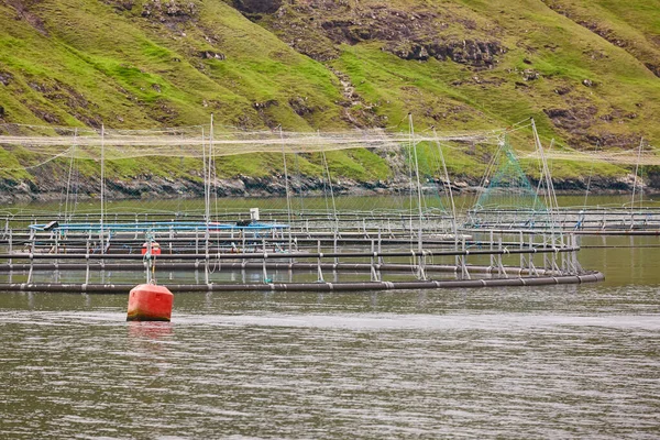 Piscinas Piscifactorías Salmón Fiordos Las Islas Feroe Industria Acuicultura — Foto de Stock