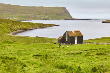 Kırsal kesimde geleneksel Faroe yeşil çatı evi. Suduroy, Faroe.