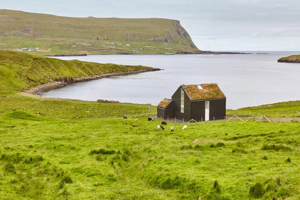 Tradizionale Casa Sul Tetto Verde Faroese Campagna Suduroy Faroe — Foto Stock