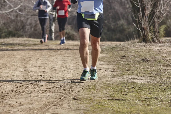 Cross Country Runners Race Active Healthy Outdoor Lifestyle — 스톡 사진