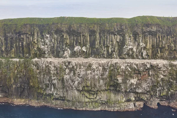 Faeröer Eilanden Dramatische Basalt Kustlijn Bekeken Vanuit Helikopter Mykines Kliffen — Stockfoto