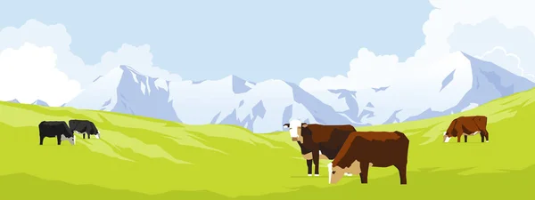 Cows in a meadow — Stock Vector