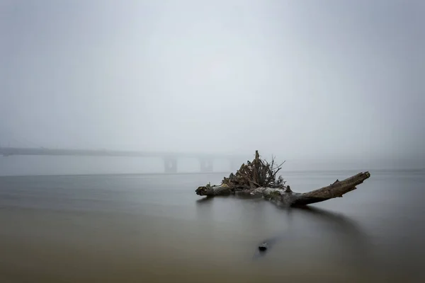 stub on the river in a mist
